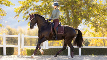 Load image into Gallery viewer, LeMieux Loire Classic Dressage Square - Large
