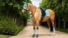 Load image into Gallery viewer, LeMeiux Suede Dressage Square
