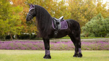 Load image into Gallery viewer, LeMieux Loire Classic Dressage Square - Large

