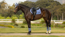 Load image into Gallery viewer, LeMeiux Loire Classic Close Contact- Large
