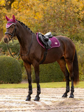 Load image into Gallery viewer, LeMeiux Loire Classic Close Contact- Large
