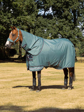 Load image into Gallery viewer, LeMieux Arika Ripstop 0g Turnout Sheet -Aloe
