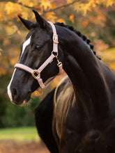 Load image into Gallery viewer, LeMieux New Essence Halter
