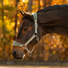 Load image into Gallery viewer, Equinavia Saga Fleece Padded Breakaway Halter
