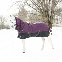 Load image into Gallery viewer, Equinavia Thunder360 Detachable Neck Heavy Weight Turnout Blanket 300g
