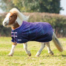 Load image into Gallery viewer, Shires Highlander Miniature Lite
