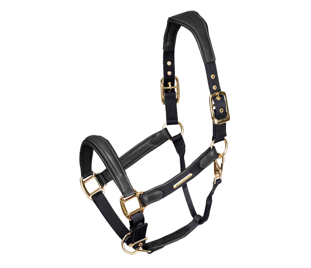 Lusso Padded Halter - Leather Breakaway