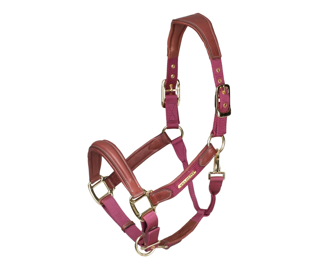Lusso Padded Halter - Leather Breakaway
