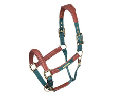 Load image into Gallery viewer, Lusso Padded Halter - Leather Breakaway
