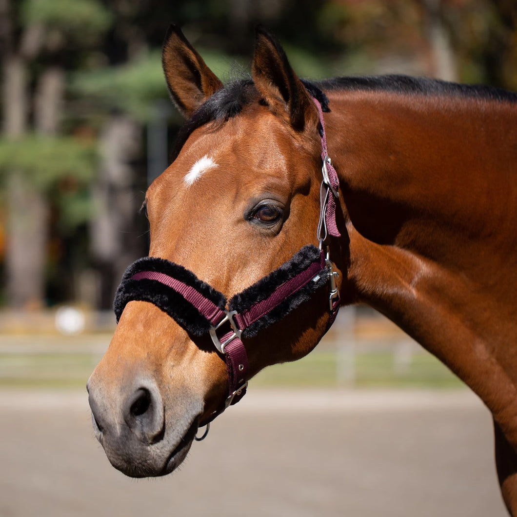 Equinavia Valkyrie Ultra Fleece Breakaway Halter