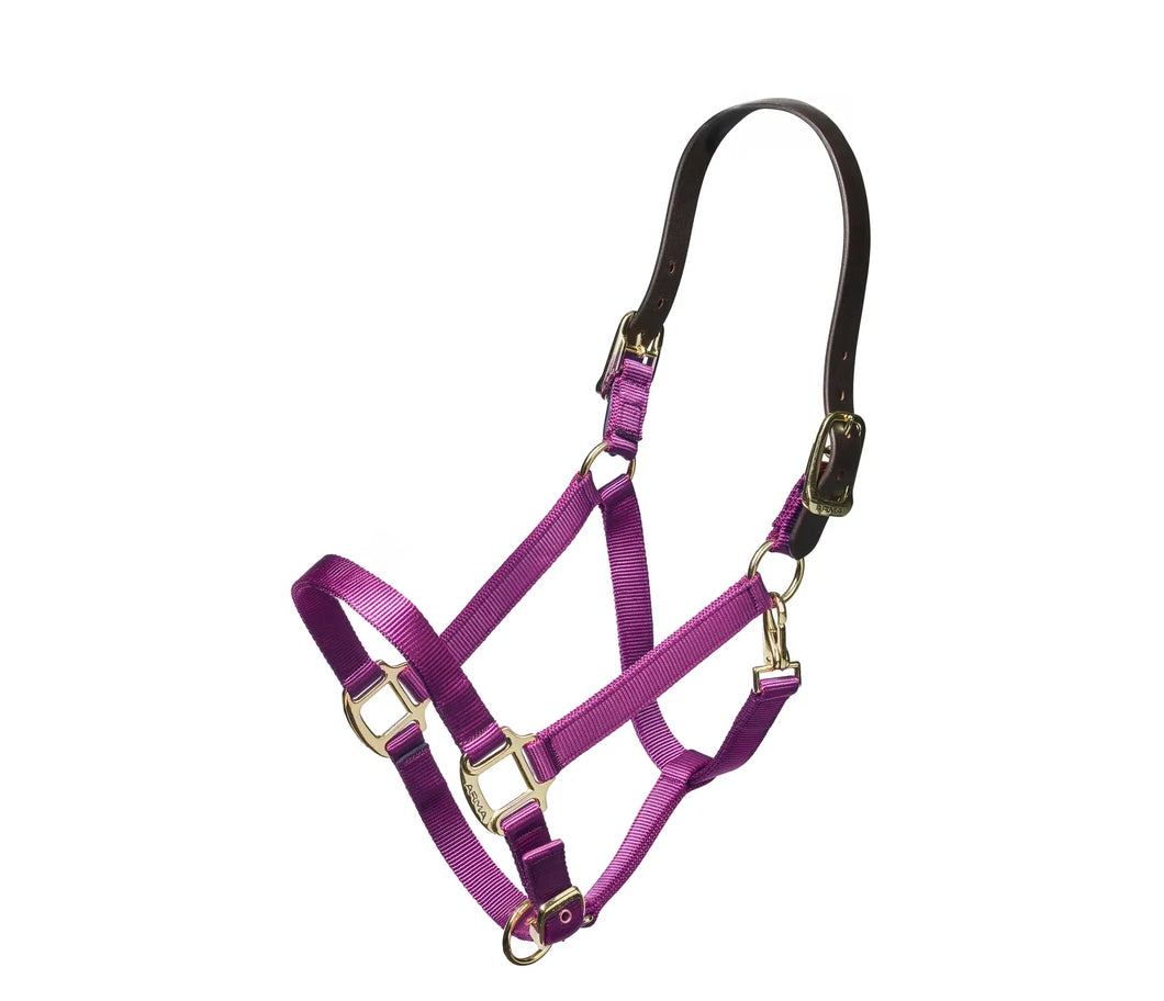 SHIRES Nylon Halter With Leather Crown