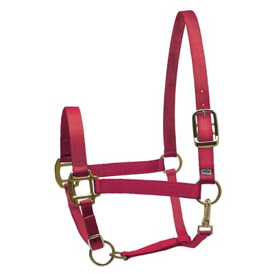 Perris Super Halter Nylon