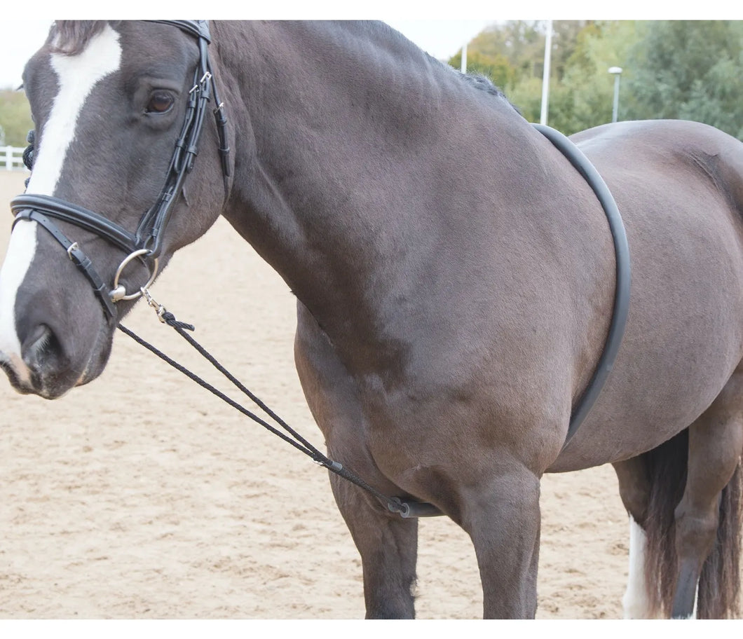 SOFT LUNGING AID