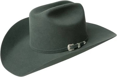 Bailey Lighting Western Hat Sage