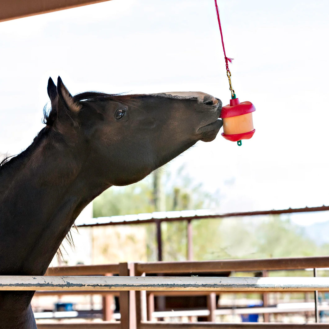 Horseman's Pride Jolly Stall Snack