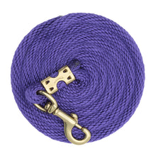 Load image into Gallery viewer, Weaver Value Nylon 8’ Lead
