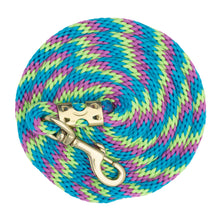 Load image into Gallery viewer, Weaver Value Nylon 8’ Lead
