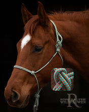 Load image into Gallery viewer, Haychix Redemption Rope Halters

