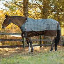Load image into Gallery viewer, Equinavia Arktis Regular Neck Mid Weight Turnout Blanket
