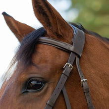 Load image into Gallery viewer, Equinavia Saga Hackamore Bridle with Rubber Reins - Chocolate Brown
