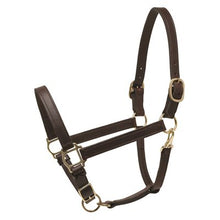 Load image into Gallery viewer, Perris 1&quot; Turnout Halter
