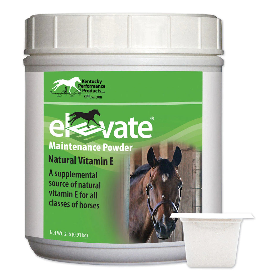 Elevate® Maintenance Powder
