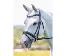 Load image into Gallery viewer, Velociti Dressage Bridle with Flash
