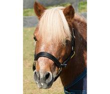 Load image into Gallery viewer, Shires Topaz Padded Nylon small pony Halter
