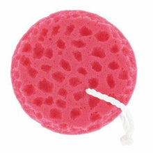 Load image into Gallery viewer, Tail Tammer Sponge On A rope 2442

