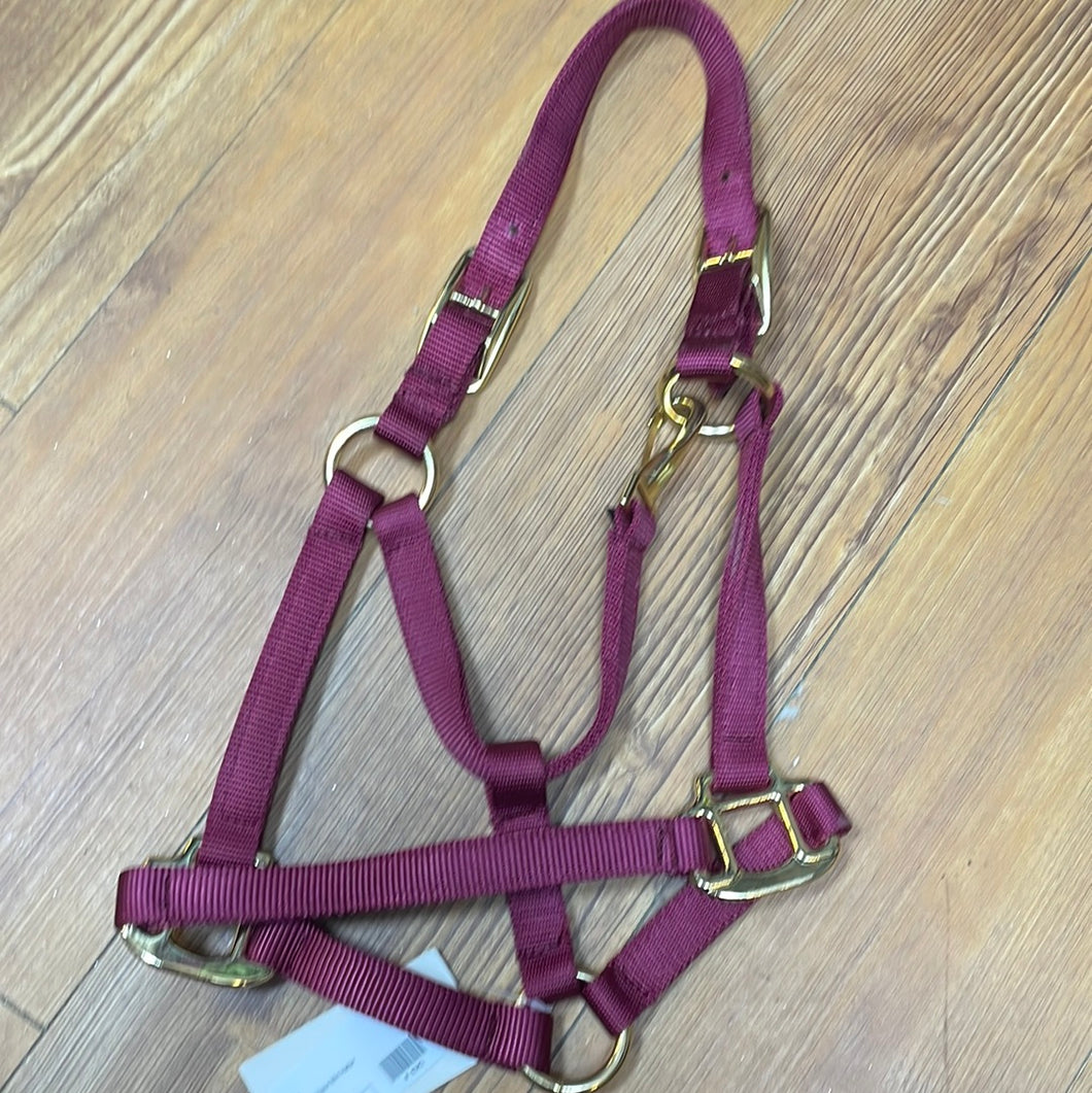 Intrepid Large Mini Nylon Halter