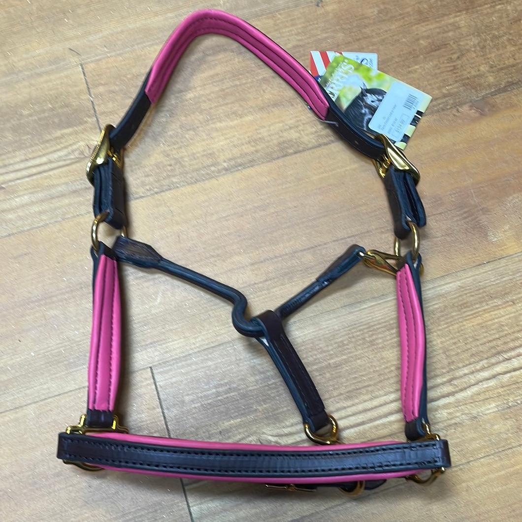 Perris Pony Leather Padded Halter