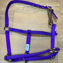 Load image into Gallery viewer, Ronmar Pony Nylon Halter
